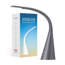 Купить Настольный светильник Intelite Desklamp  5W IRON GREY (DL4-5W-IGR)