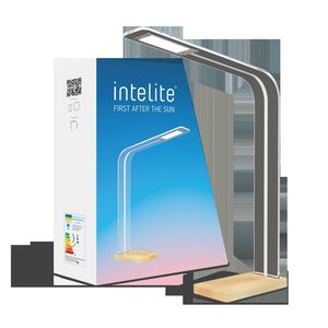 Купить Настольный светильник INTELITE DESKLAMP GLASS 8W (DL5-8W-TRL)